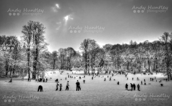 Reigate Priory Park in Winter