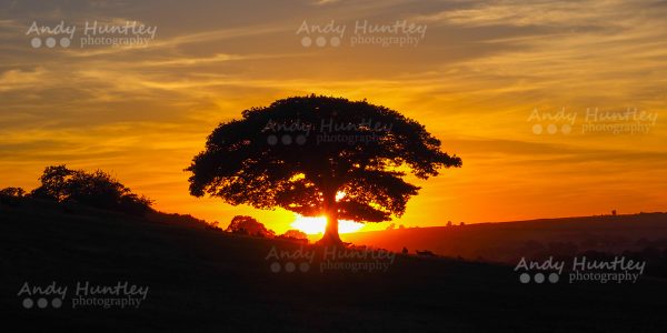 Rural Sunset in England